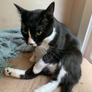 Meet your Posher, Nikolaus